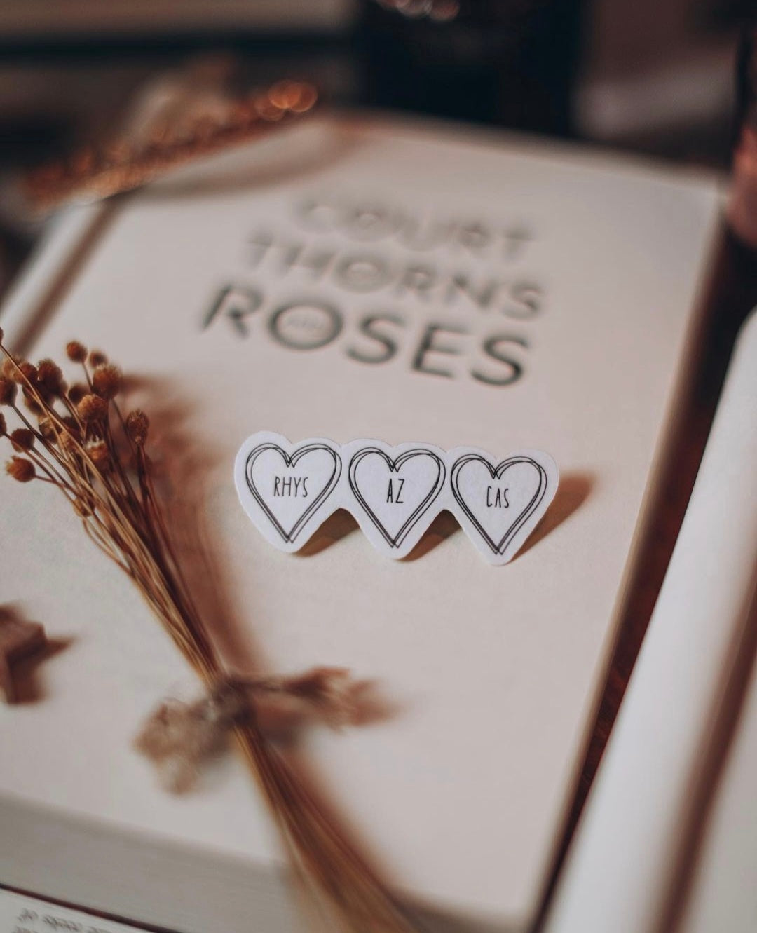ACOTAR bat boys sticker