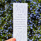 Fairytales are true bookmark